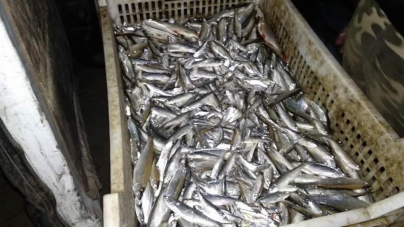 На 1,5 млн грн незаконно наловили риби біля Чехівської насосної станції