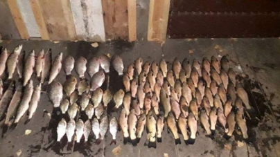 На Ірдинських болотах черкащанин браконьєрським методом наловив риби на 15 тис.грн