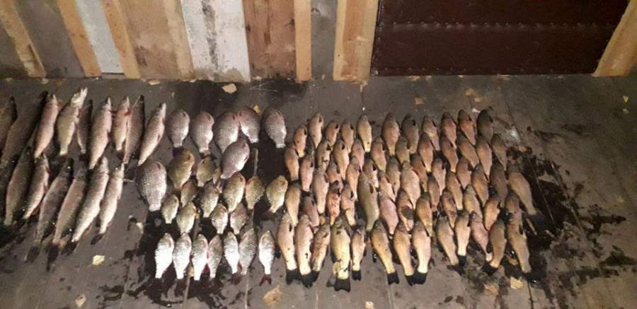 На Ірдинських болотах черкащанин браконьєрським методом наловив риби на 15 тис.грн