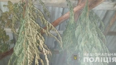 На Черкащині чоловік зберігав велику кількість марихуани (фото, відео)