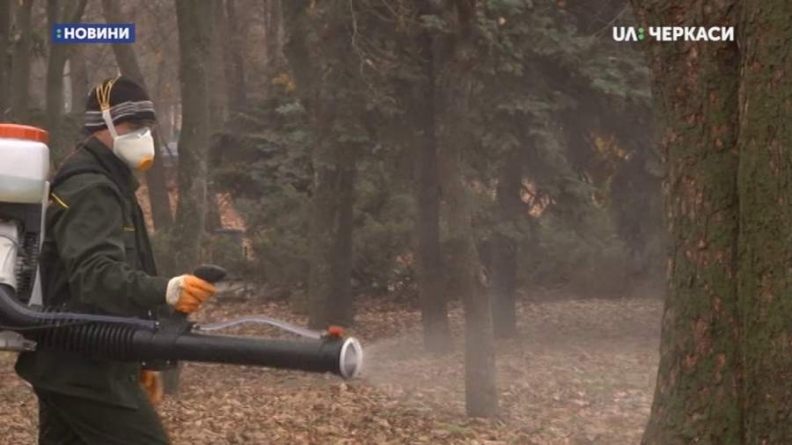 Кущі та дерева у черкаських парках готують до зими (відео)