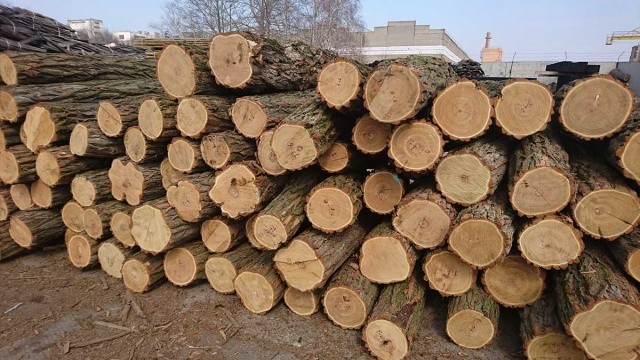 У Каневі малозабезпечені громадяни отримають безкоштовні дрова