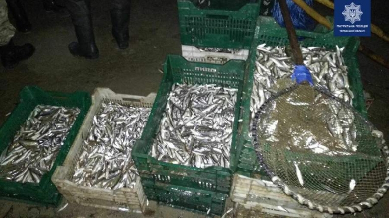 На Черкащині браконьєри наловили риби на півтора мільйони гривень