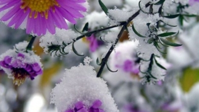 Коли на Черкащині може випасти перший сніг, розповіли синоптики