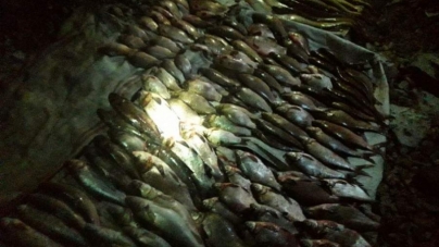 Браконьєр наловив сітками центнер риби у заказнику (відео)