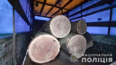Дві вантажівки з нелегальною деревиною затримали на Черкащині