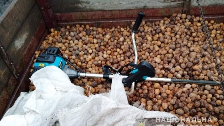На Черкащині зловмисники, під приводом купити горіхи, обікрали пенсіонера (фото, відео)