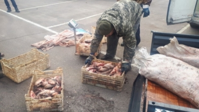 Майже 4 центнери риби наловив браконьєр поблизу Ірклієва