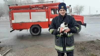 Рятувальники зняли з ялинки “різдвяного кота”