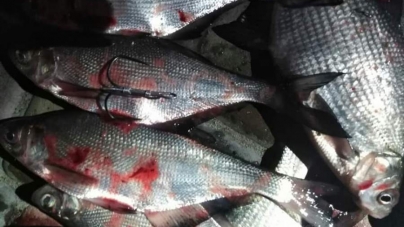 Біля річкового вокзалу у Черкасах затримали рибних браконьєрів