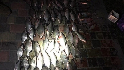У Черкасах затримали рибних браконьєрів з уловом більше 12 тис. гривень