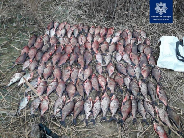 Черкащани незаконно наловили риби на 30 тисяч гривень