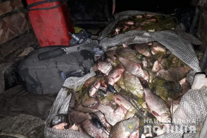 На Чорнобаївщині чоловіки незаконно наловили понад 680 рибин карася