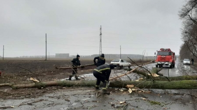 На Черкащині рятувальники прибирали з доріг повалені дерева (відео)