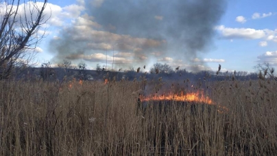 За добу на Черкащині ліквідували три пожежі в екосистемах