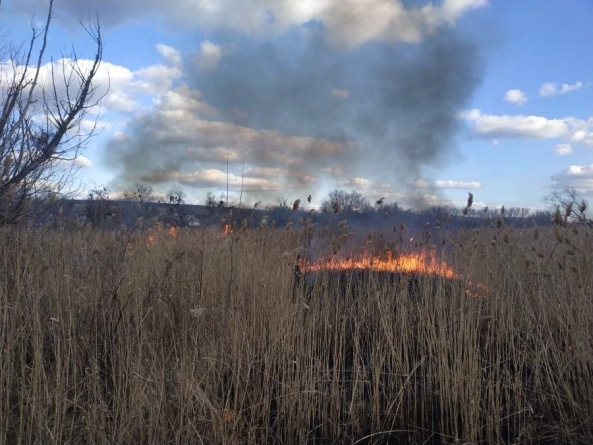 За добу на Черкащині ліквідували три пожежі в екосистемах