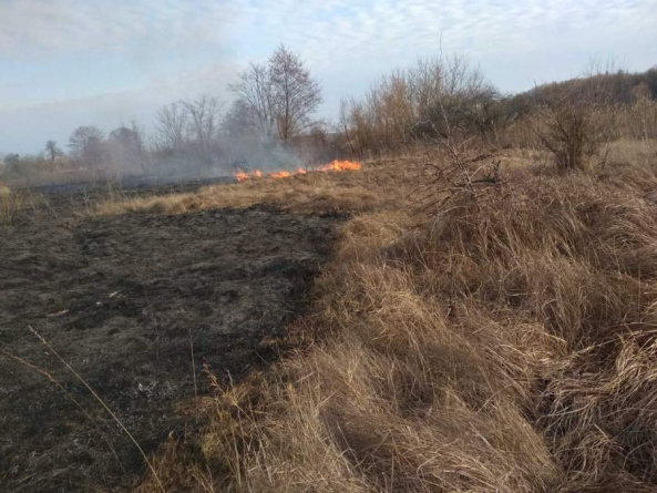 На Черкащині було ліквідовано дві пожежі на відкритій території