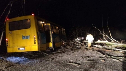 На Черкащині внаслідок негоди дерево впало на рейсовий автобус