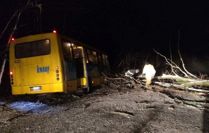 На Черкащині внаслідок негоди дерево впало на рейсовий автобус