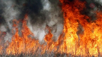 За добу в екосистемах Черкащини виникло дві пожежі