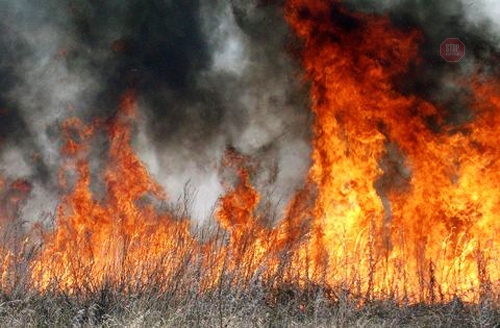 За добу в екосистемах Черкащини виникло дві пожежі