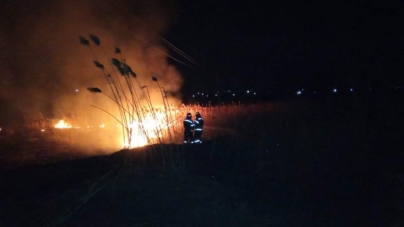 13 пожеж за добу: селяни палять траву (відео)
