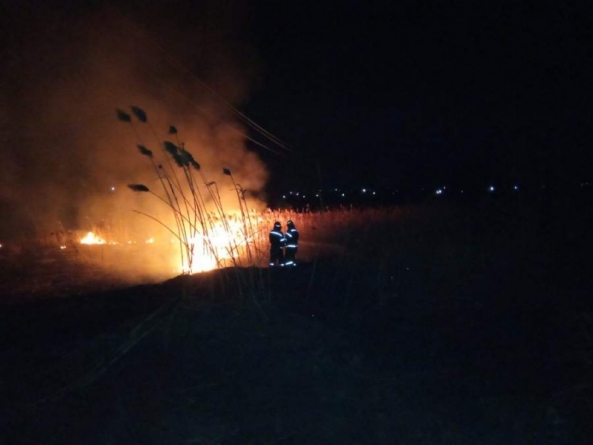 13 пожеж за добу: селяни палять траву (відео)
