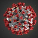 У Черкасах - перший хворий на коронавірус. Його привезли з Кам`янки (відео)