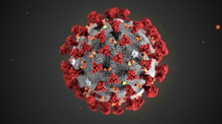 У Черкасах – перший хворий на коронавірус. Його привезли з Кам`янки (відео)