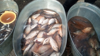 На залізничній станції у Смілі незаконно торгували рибою