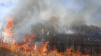 Поблизу Черкас в орнітологічному заказнику вигоріло 4 гектари трави і очерету (відео)