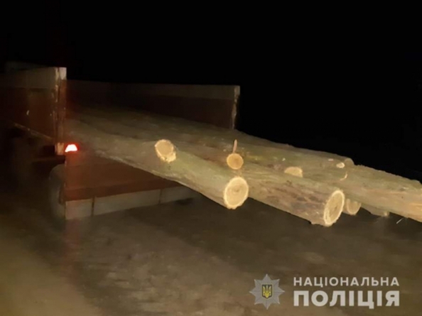Пильний селянин “здав” незаконних лісорубів