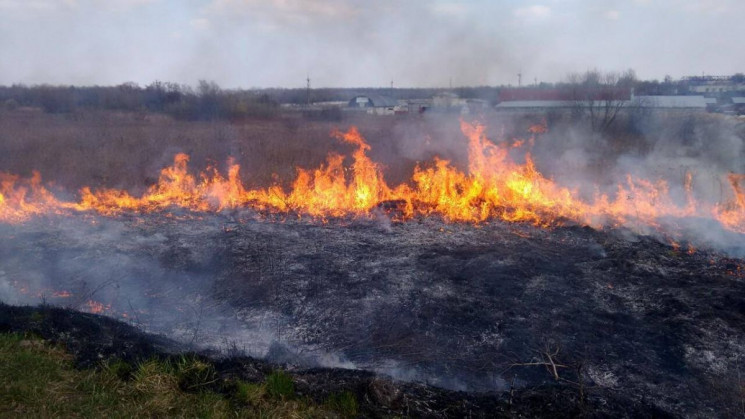 10 гектар пожеж сухої трави ліквідували рятувальники впродовж доби (відео)