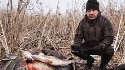Дніпровські риби-монстри: рибоохоронний патруль показав гігантських риб із зимувальних ям (відео)