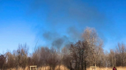 У Черкасах сталася пожежа біля Долини троянд (фото, відео)