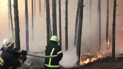 Гасити пожежі у лісах Житомирщини допомагають черкаські вогнеборці (ВІДЕО)