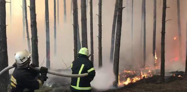 Гасити пожежі у лісах Житомирщини допомагають черкаські вогнеборці (ВІДЕО)