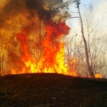 24 пожежі сухої рослинності ліквідували рятувальники за вихідні