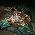 Порушників, які завдали збитків на 28 тис.грн, затримано, - рибоохоронний патруль