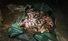 Порушників, які завдали збитків на 28 тис.грн, затримано, – рибоохоронний патруль
