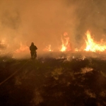 За минулу добу в екосистемах області виникло 7 пожеж