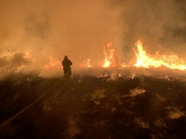 За минулу добу в екосистемах області виникло 7 пожеж