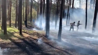 Карантин у дії: під Черкасами відпочивальники підпалили ліс та втекли