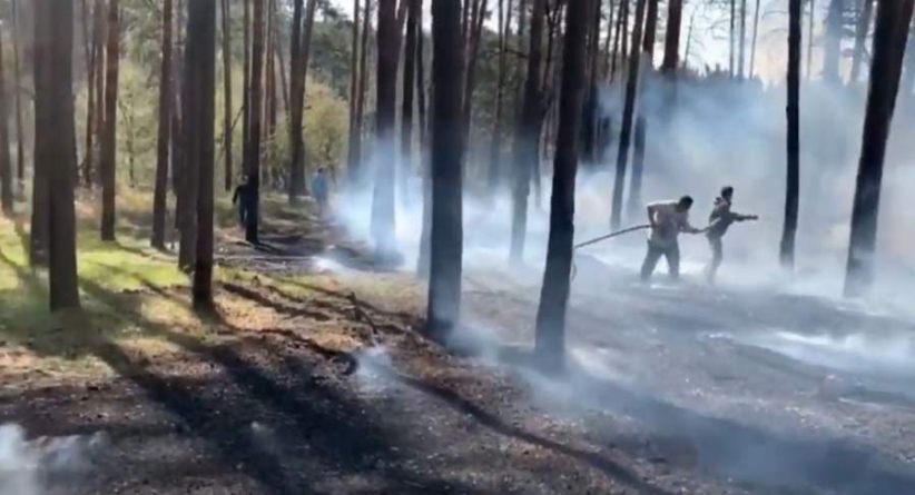 Карантин у дії: під Черкасами відпочивальники підпалили ліс та втекли