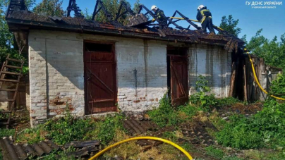 Рятувальники ліквідували пожежі двох надвірних споруд