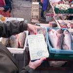 У Черкасах здійснено перевірку місць торгівлі рибою