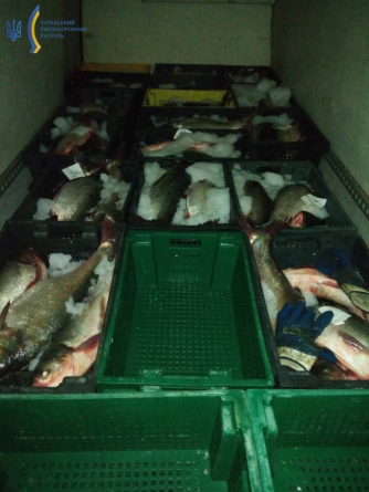 На Черкащині небайдужі зафіксували порушення рибоохоронного законодавства