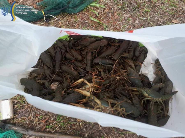 На Тясмині незаконно виловили раків на майже 400 тисяч гривень