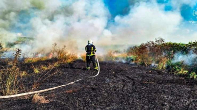 7 пожеж сухої рослинності ліквідували рятувальники минулої доби