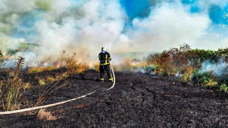 7 пожеж сухої рослинності ліквідували рятувальники минулої доби